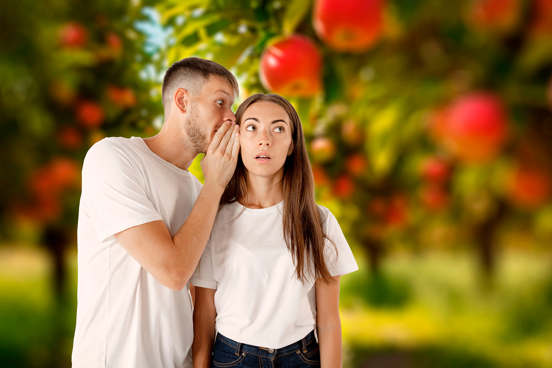 Descripción de la imagen