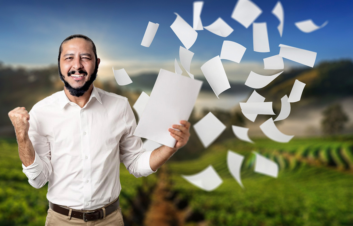 Descripción de la imagen